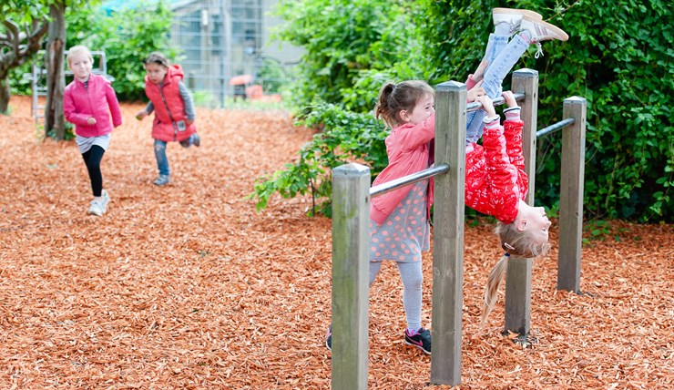 056 DSD4781 Joannes HR