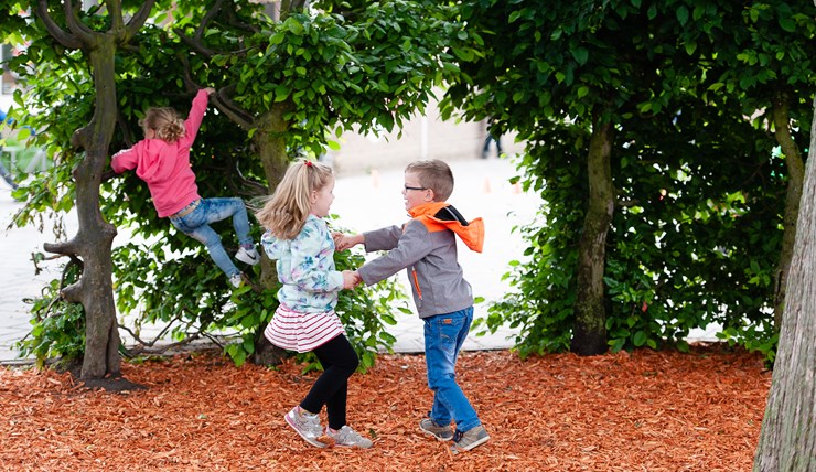 060 DSD4792 Joannes HR