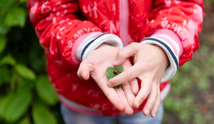 075 DSC0542 Joannes HR